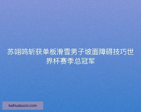 苏翊鸣斩获单板滑雪男子坡面障碍技巧世界杯赛季总冠军