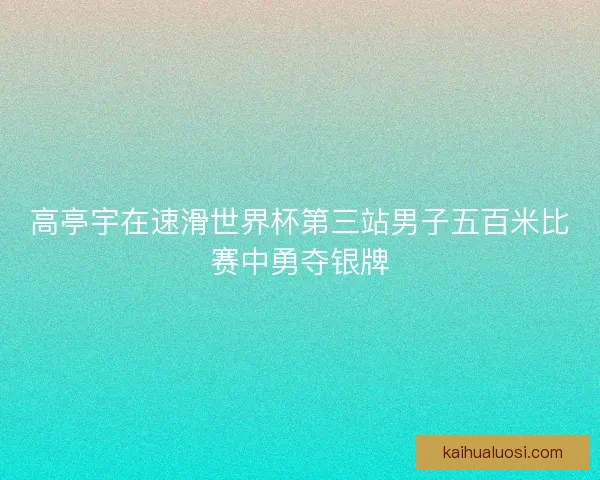 高亭宇在速滑世界杯第三站男子五百米比赛中勇夺银牌